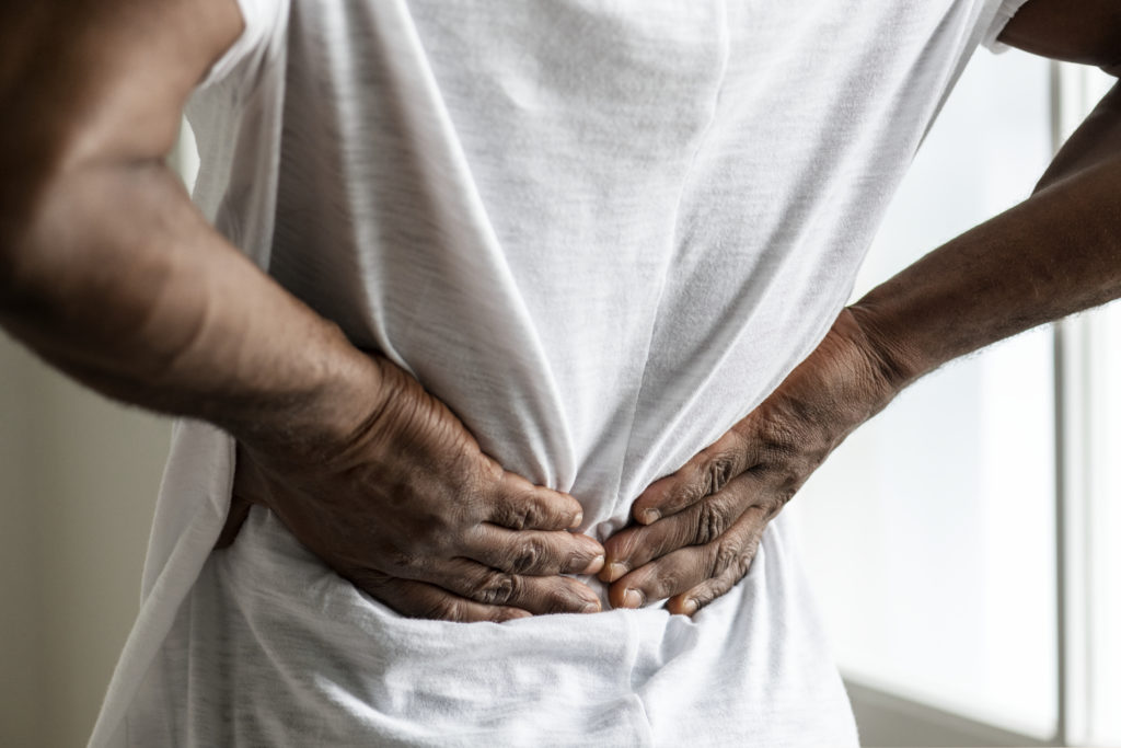 Everything You Need to Know Before Booking a Visit to the Chiropractor