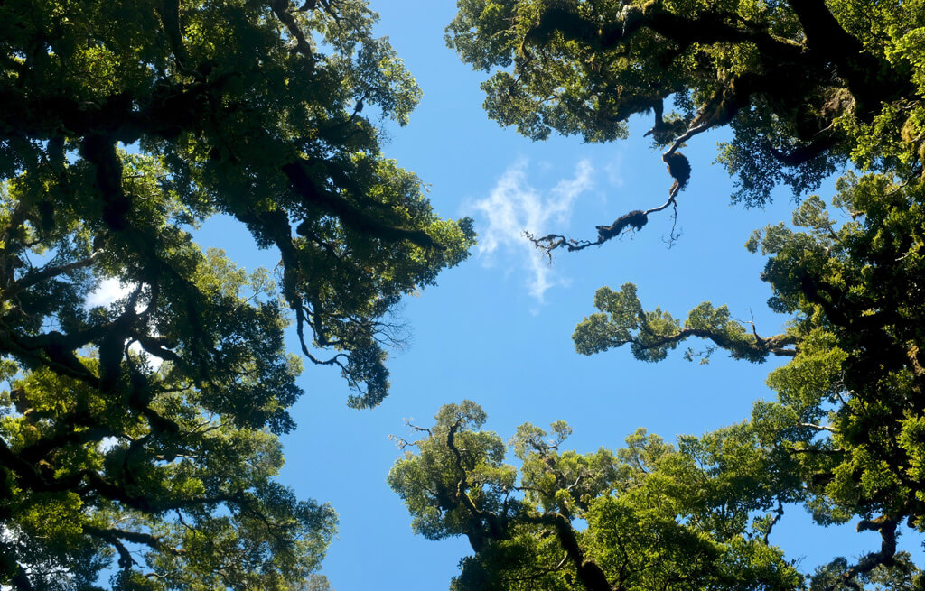 Guided Imagery Pocket Guide