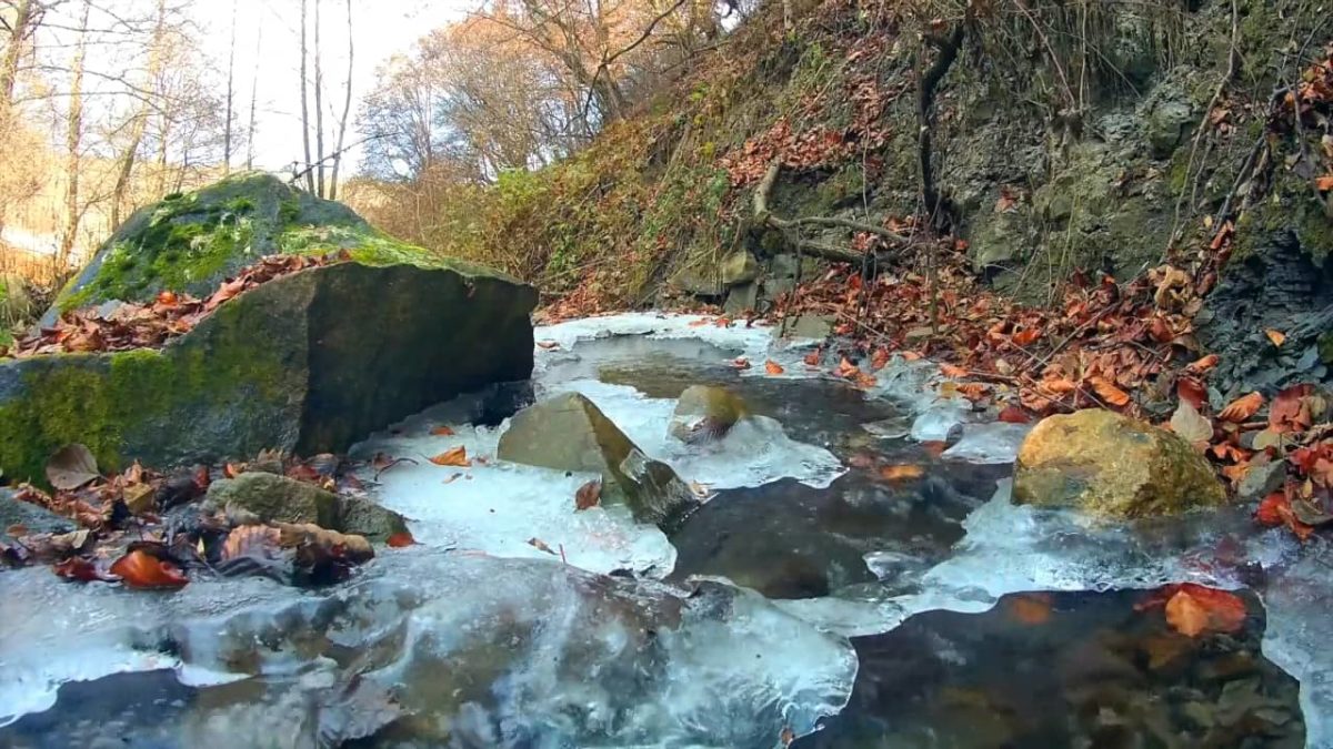 A Meditation to Help Ease Pain