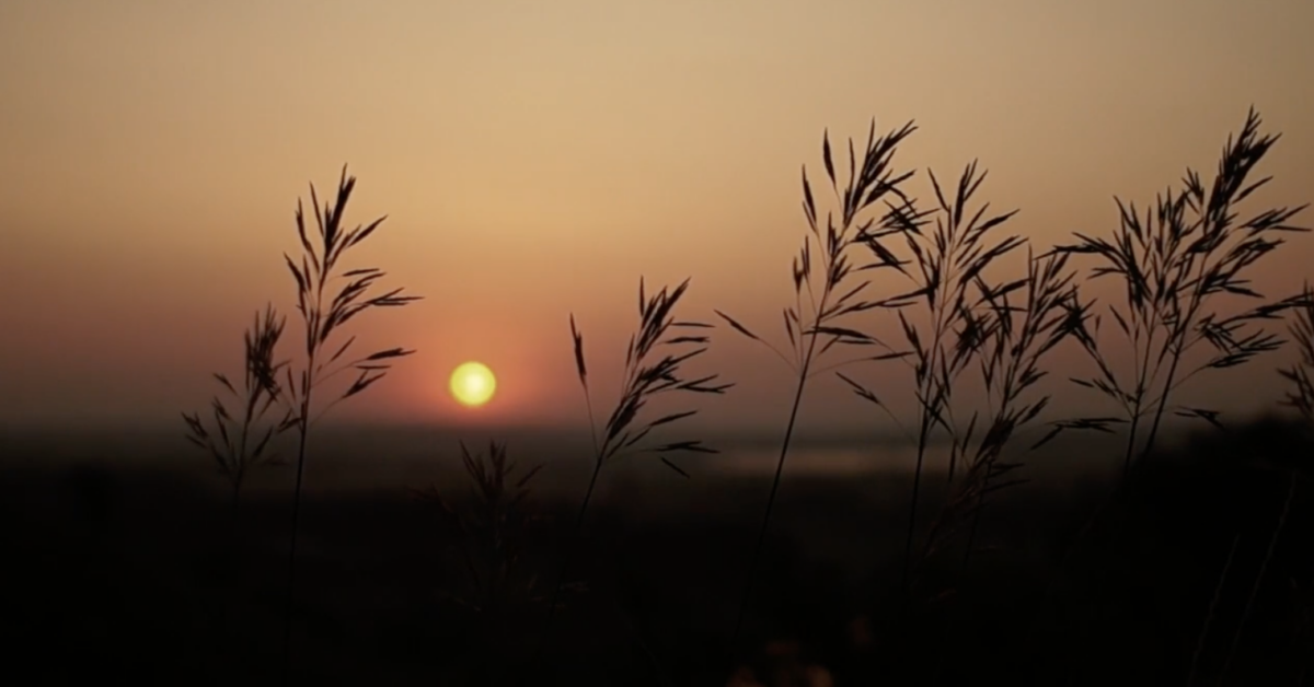 A Guided Meditation For Healthful Sleep