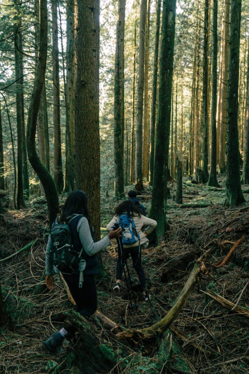 The Healing Power of the Outdoors